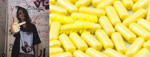 индика Туринск
