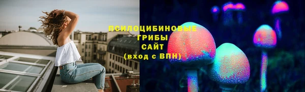 прущая мука Армянск