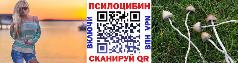 Галлюциногенные грибы прущие грибы  купить наркотик  Пудож 